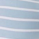 zebra seafoam striped
