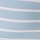 zebra seafoam striped