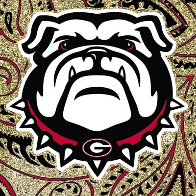 georgia bulldogs uga