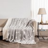 Plush Throw Blanket with Faux Shearling Reverse - Great Bay Home - 3 of 4