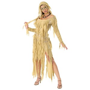 Mummy Queen Standard Adult Costume - 1 of 4