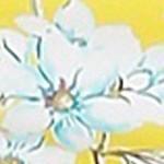 yellow multi