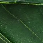 black basin white stone