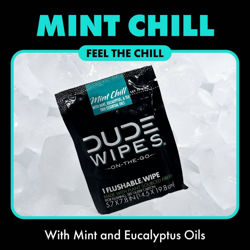 Dude Wipes Mint Chill On-The-Go Flushable Personal Wipes - 30ct, 3 of 10