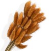 Alilang Dried Floral Bouquet with Pampas Grass, Eucalyptus, and Accents - Beige - 3 of 4