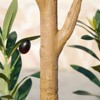 7ft Pencil Artificial Olive Tree with Real Wood Trunk & Silk Leaves, UV Resistant Faux Plant in Decorative Pot & Basket for Home and Office Decor - 2 of 4