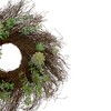 Northlight Eucalyptus and Succulents Artificial Twig Wreath - 22-Inch - 3 of 4