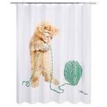 Playful Cat Shower Curtain - Allure