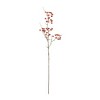 Melrose Berry Pod Spray (Set of 6) - 2 of 3