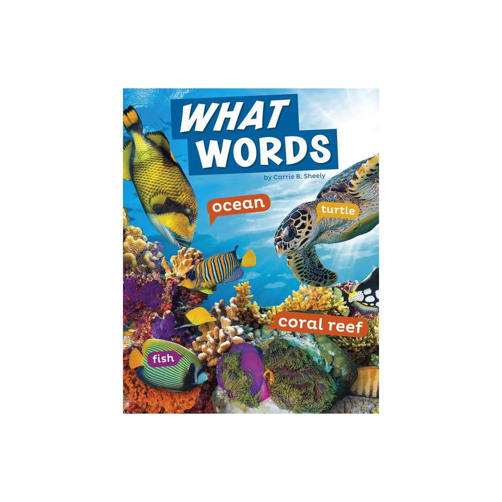 What Words - (Word Play) by Carrie B Sheely (Paperback) was $7.49 now $4.89 (35.0% off)