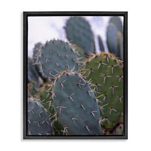 Stupell Industries Prickly Cactus Thorns Close Up Photography Desert Vegetation Floating Frame Canvas Art, Black, 17" x 21" - 1 of 4