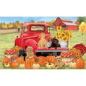 Briarwood Lane Fall Doormat 30x18 Indoor Outdoor Fall Puppies For Fall Doormat - 1 of 4