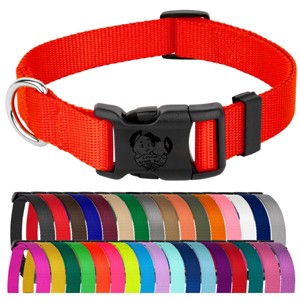 Country Brook Petz Everyday Nylon Dog Collar - 1 of 4