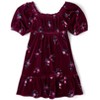 The Children's Place Girls Three Quarter Sleeve Floral Velour Babydoll Dress - 2 of 4
