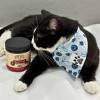 Hemp Well Bladder Support Powder - For Dog & Cat Urinary Health - 2.11 oz. - 4 of 4
