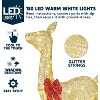Joiedomi 3 Packs Christmas Decoration Deer Family, 360 LED Lighted Rattan Reindeers Yard Lights, Christmas Outdoor Decorations for Yard Garden Lawn - 4 of 4