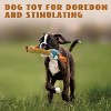 Nocciola 2 in 1 Chicken Lives Twice Dog Toy, Cute Stuffed Toys with Large Durable Rubber Squeaky Core, Chew Teething Toy for Aggressive Chewers - 4 of 4