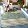 Courtyard CY8061 Power Loomed Indoor and Outdoor Rug - Safavieh - 2 of 4