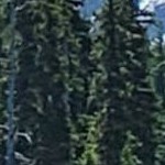 regis barnwood mocha narrow