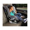 Britax boulevard hotsell cup holder