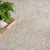 Nourison Home Enriched Abstract Indoor Area Rug - 3 of 4