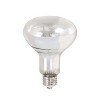 REPTI ZOO Reptile Sun Lamp Self-Ballasted Vapor 100W - 2 of 3