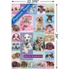 Trends International Keith Kimberlin - Puppies and Kittens Unframed Wall Poster Prints - 3 of 4