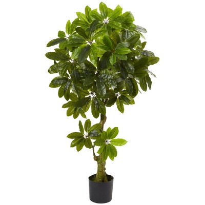 4ft Schefflera Artificial Tree - Nearly Natural