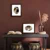 Americanflat 5x7 Picture Frame with Oval Mat Insert and Shatter-Resistant Glass - Signature Collection - 8x10 Picture Frame without Mat - Walnut - 4 of 4