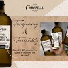 Carapelli 100% Organic Extra Virgin Olive Oil - 16.9 fl oz - 2 of 4