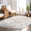 Nuloom Jodie Rainbow Zebra Braided Tassle Indoor Area Rug, 3' x 5', Ivory - 2 of 4