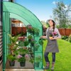 EAGLE PEAK 3 Tier Lean to Portable Greenhouse, Heavy-Duty Garden with Wire Shelves, 2 Roll-Up Zipper Doors - 2 of 4