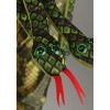 HalloweenCostumes.com  Women  Medusa Snake Adult Wig, Green - 3 of 4
