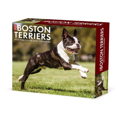 2022 Box Calendar Just Boston Terriers - Willow Creek Press