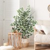 Boersma Artificial Ficus Tree Silk Fake Tree with Pot - Lifelike Foliage & Branches for Indoor/Outdoor Decor Bring timeless beauty to your space - 3 of 4