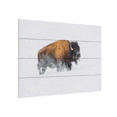 Trademark Fine Art -Debbie Hunt 'Bison In The Snow' Wood Slat Art