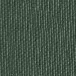 Line Tree Evergreen