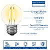 Novelty Lights 25 Pack G50 Warm White Plastic Filament Globe LED String Light Replacement Bulbs E26 Medium Base 1 Watt - 2 of 4