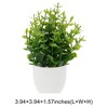 Unique Bargains Artificial Plants Eucalyptus Plant Plastic 2.76"x2.76"x7.09" 1 Pc - 3 of 4