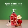 Softsoap Fall Seasonal Liquid Hand Soap - Spiced Cider - 11.25 fl oz - 3 of 4