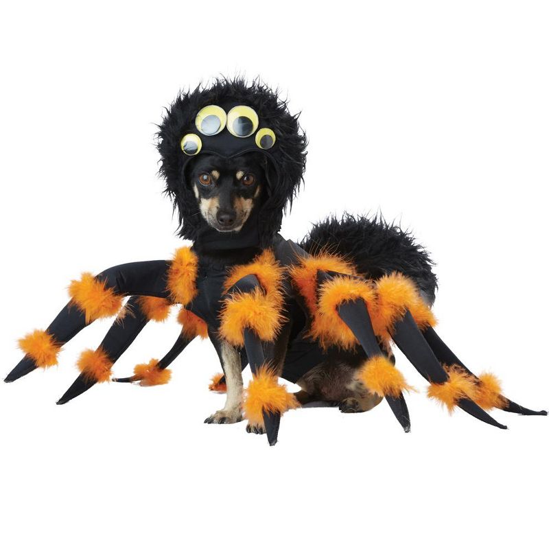 California Costumes Spider Pup Pet Costume, X-Small, 1 of 3