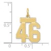 Black Bow Jewelry 14k Yellow Gold, Jersey Collection, Small Number 46 Pendant - 4 of 4