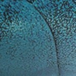peacock blue