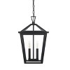 Elegant Lighting Frankford 12 Inch Outdoor Pendant in Black - 2 of 4