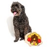 Midlee Turkey Thanksgiving Sugar Cookie Dog Toy - 4 of 4