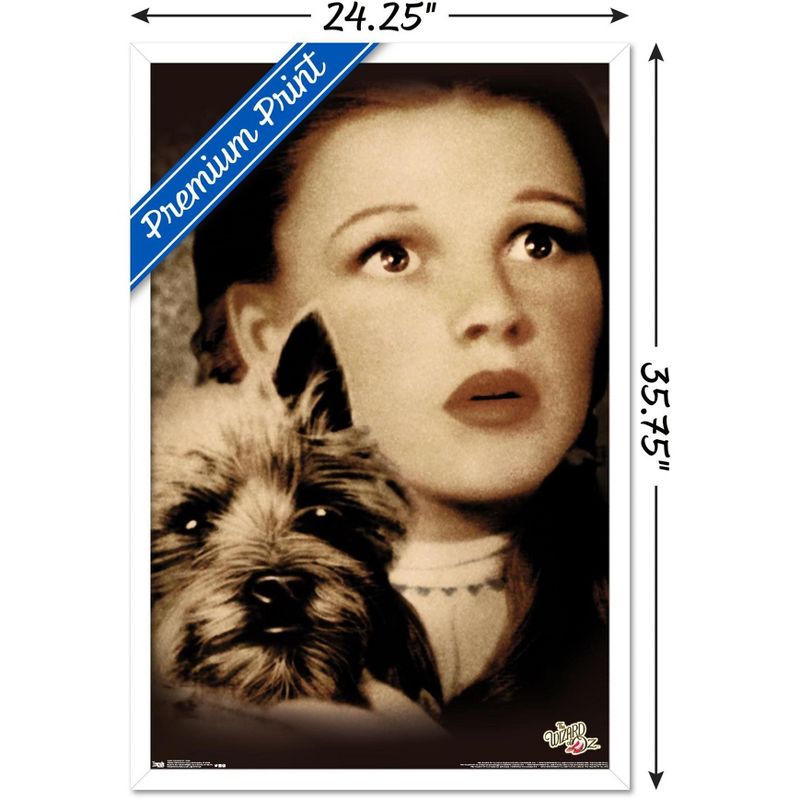 Trends International The Wizard Of Oz - Duo Framed Wall Poster Prints, 3 of 7