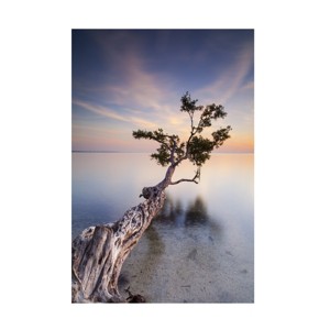 Trademark Fine Art -Moises Levy 'Water Tree X' Canvas Art - 1 of 4