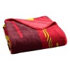 NCAA Maryland Terrapins Digitized 60 x 80 Raschel Throw Blanket - 4 of 4