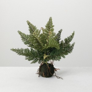 Sullivans Artificial Fern In Ball - 1 of 3