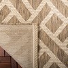 Courtyard Clayton CY6306 UV & Stain Resistant Non-Shedding Power Loomed Indoor/Outdoor Rugs - Safavieh - 4 of 4